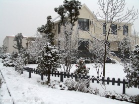冬天雪景