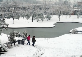 走别人走过的路_雪景