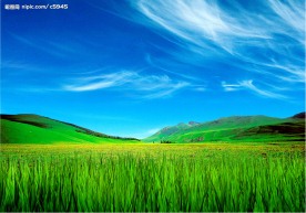 碧草蓝天