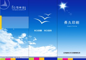 三折页模板