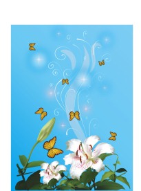 白色百合花