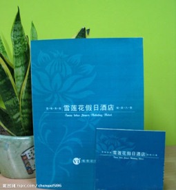 雪莲花假日酒店VI