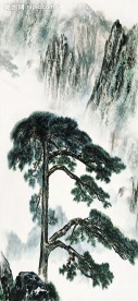 迎客松一