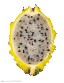 火龙果