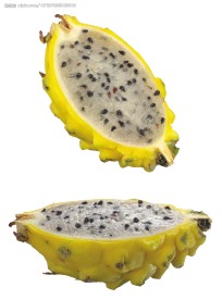 火龙果