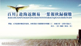 企业理念