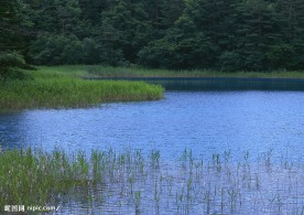 平静的湖