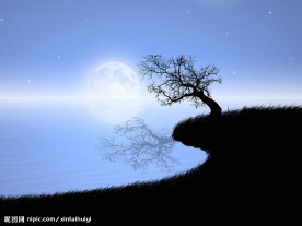 夜幕下的树