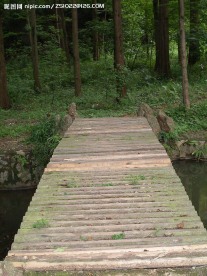 木桥