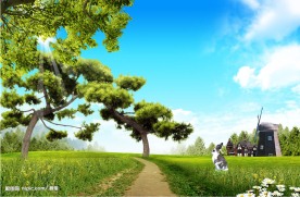 野外风景