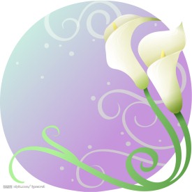 矢量花卉