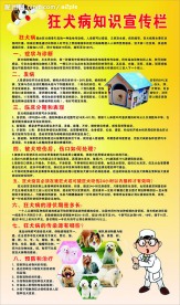 狂犬病知识宣传栏