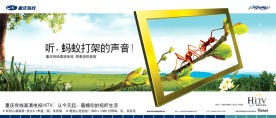 高清数字电视HiTV蚂蚁篇