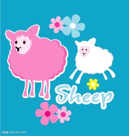 sheep