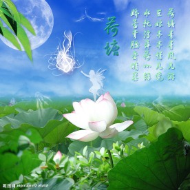 荷塘精灵