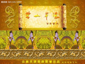 普洱茶