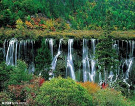 漫山遍野