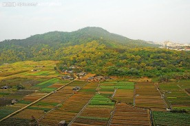 田野风光