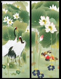 夏日荷花精品