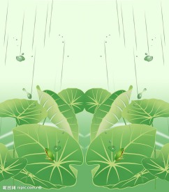 夏日青蛙