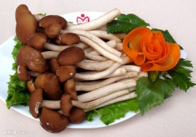 茶树菇