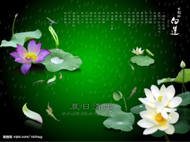 古典婚纱模板