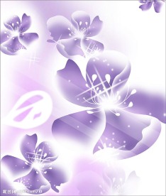 幻影唯美花