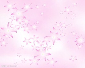粉色唯美花