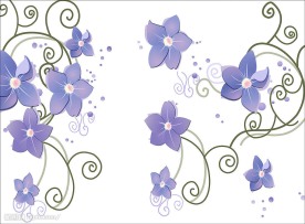 紫色唯美花朵