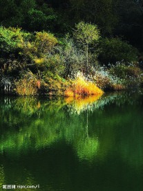 山水情