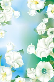 喇叭花中的极品