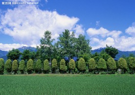田园剪影