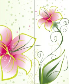 精品粉红百合花