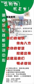 招生X展架