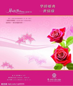 婚宴请柬