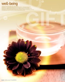 菊花 玻璃容器 水