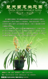 蘭蕙生態圓