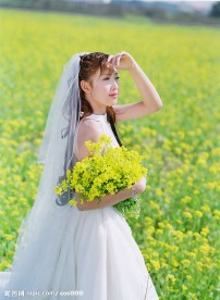 春天之婚纱