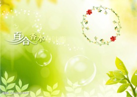 午后的阳光10婚纱摄影模板