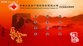 中国大地财产保险
