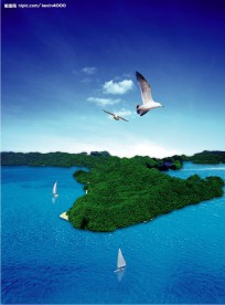 海岛 帆船 海鸥