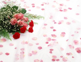 一束鲜花