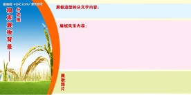 展板背景素材