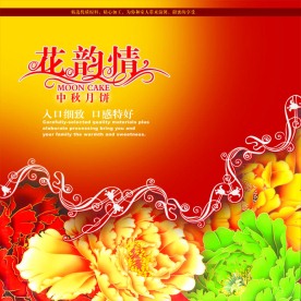 包装 包装盒子