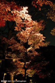 禅境·秋夜