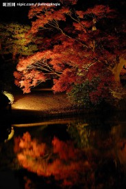 禅境·秋夜