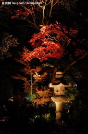 禅境·秋夜