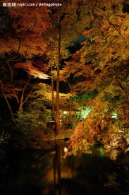 禅境·秋夜