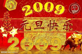 2009年元旦背景