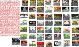 50种毒食品全曝光（多图配文）